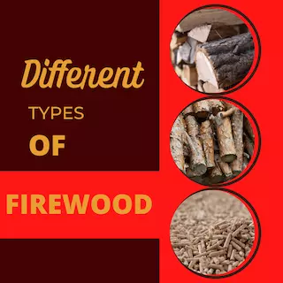 different types of firewood